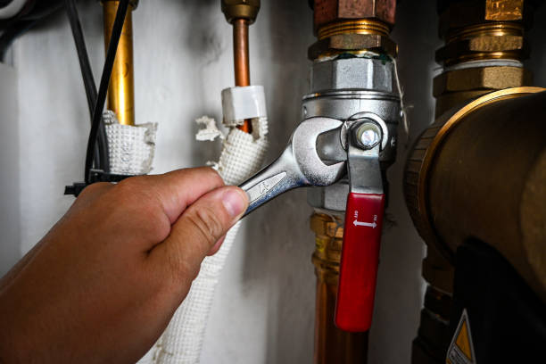 Best Local Plumber Services  in Markesan, WI